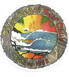 MEN'S FLIP FLOP CHINA BEACH