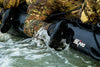 SHADOW AMPHIBIAN 8" Black Ops | Tactical - LALO USA | Tactical and Athletic Footwear